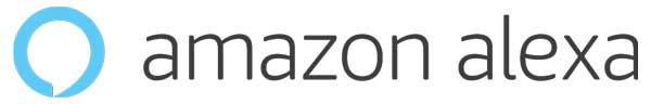 Amazon Alexa Skills Agentur